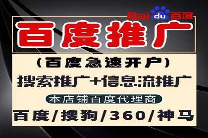 百度竞价推广在电商领域的赚钱案例